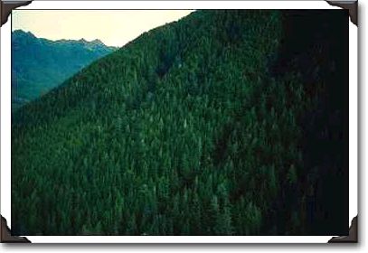 Rugged Peak, Washboard Clouds