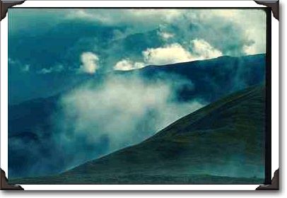 Forested Mountains