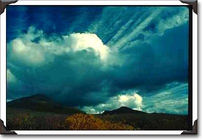 Tree Silhouettes With Mountain Vista