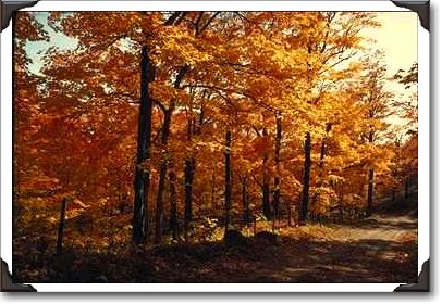 Franconia Notch, New Hampshire