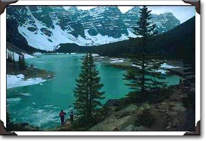 Logging in the Colorado mountains