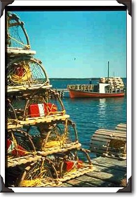 Salmon eggs, hatchery, Alaska