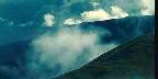 Forested Mountains