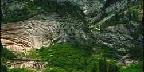 Alpine Ridge With Groups Of Trees
