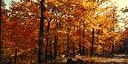 Franconia Notch, New Hampshire