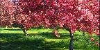 Rittenhouse homestead, Fairmount Park