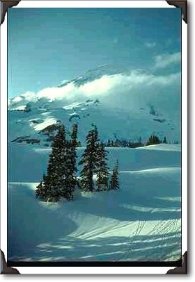 Ski Tracks On Mountain Ski Tracks On Mountain