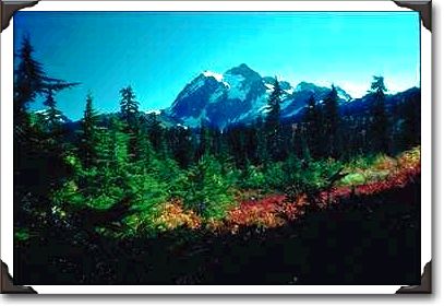 Mountain Over Red And Yellow Foliage Mountain Over Red And Yellow Foliage