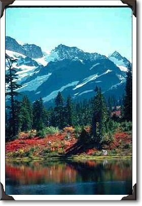 Ice Fields Behind Reflected Red Foliage Ice Fields Behind Reflected Red Foliage