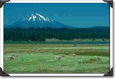 Field Of Hay Bales, Mountain In Summer Field Of Hay Bales, Mountain In Summer