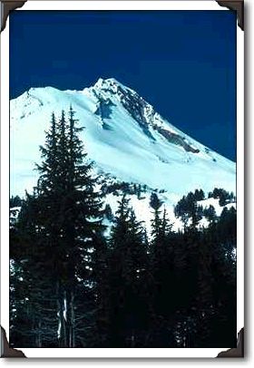 Trees, Snowy Peak And Sky Trees, Snowy Peak And Sky