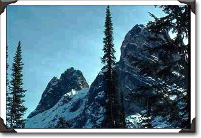 Tall Trees And Peaks Tall Trees And Peaks