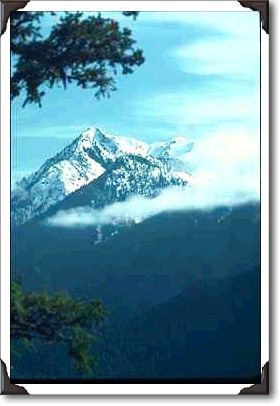 Forested Mountains Forested Mountains
