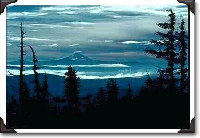 Tree Silhouettes With Mountain Vista Tree Silhouettes With Mountain Vista