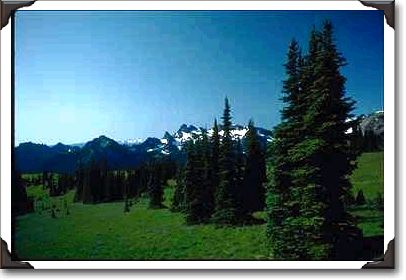 Alpine Ridge With Groups Of Trees Alpine Ridge With Groups Of Trees