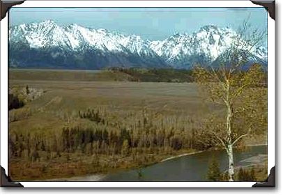 Mountains Behind Plateau, Birch Tree Mountains Behind Plateau, Birch Tree