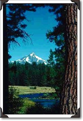Peak Behind Fenced Meadow And Trees Peak Behind Fenced Meadow And Trees