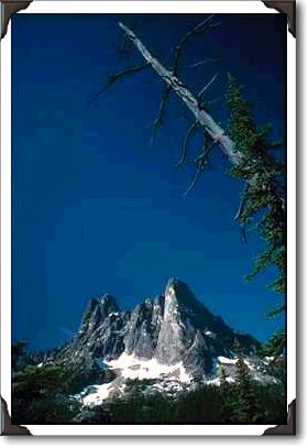 Rocky Peak Framed By Dead Snag Rocky Peak Framed By Dead Snag