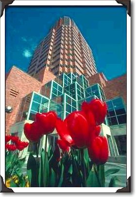Portland, Koin Center Portland, Koin Center