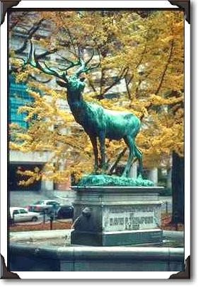 Portland, Lownsdale Square, The Elk Statue Portland, Lownsdale Square, The Elk Statue
