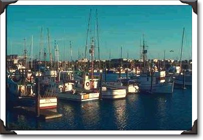 Brookings Harbor Brookings Harbor