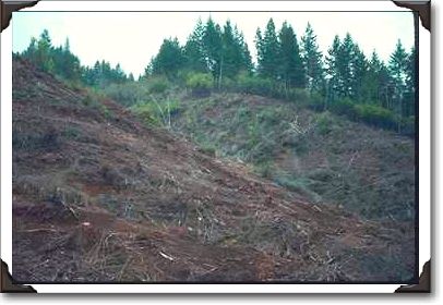Douglas County, Hills After Logging Clearcut Douglas County, Hills After Logging Clearcut