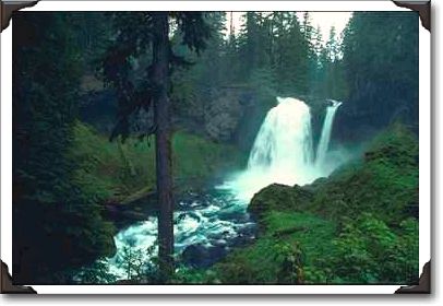 Willamette National Forest, Mckenzie River, Sahalie Falls Willamette National Forest, Mckenzie River, Sahalie Falls