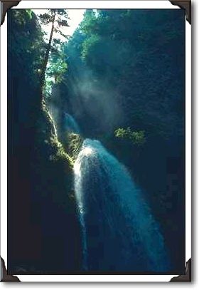 Columbia River Gorge, Multnomah Falls Columbia River Gorge, Multnomah Falls