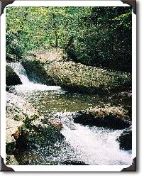 This was taken September 25th 2004. The cascades is in a national park. This was taken September 25th 2004. The cascades is in a national park.
