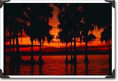 Cypress Gardens, Florida Cypress Gardens, Florida
