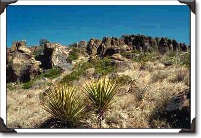 Yucca, Fort Davis, Texas Yucca, Fort Davis, Texas