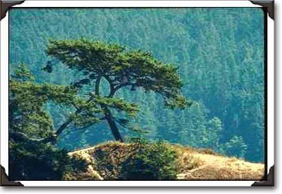 Rosario Beach, Fidalgo Island, Washington State Rosario Beach, Fidalgo Island, Washington State