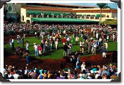 Reviewing the horses, Del Mar Racetrack Reviewing the horses, Del Mar Racetrack