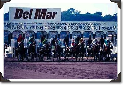 Horses at the starting gate, Del Mar Racetrack Horses at the starting gate, Del Mar Racetrack