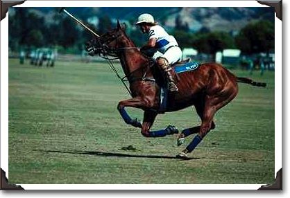 Polo Player, Rancho Santa Fe Polo Player, Rancho Santa Fe