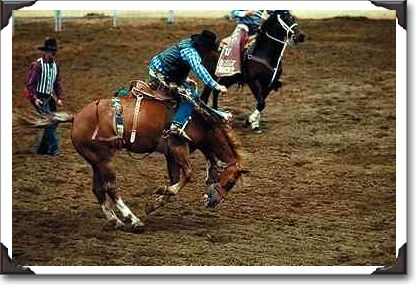 Bucking bronco, Del Mar Fair Bucking bronco, Del Mar Fair
