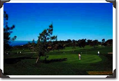 Golfing at Torrey Pines Golfing at Torrey Pines