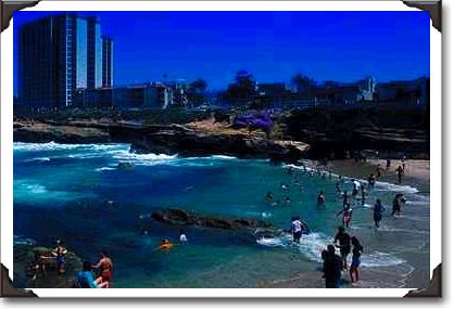 "The Children's Pool", La Jolla "The Children's Pool", La Jolla