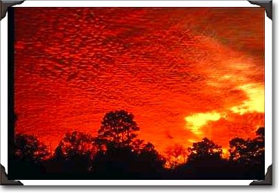 Sunset over Citrus County Sunset over Citrus County