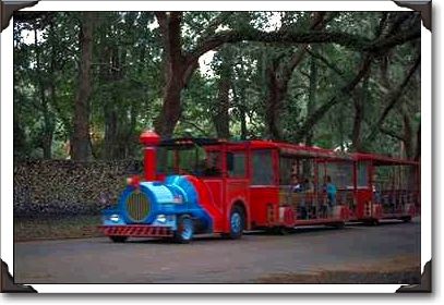 Sightseeing train, St. Augustine Sightseeing train, St. Augustine