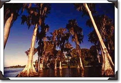 Cypress Gardens Cypress Gardens