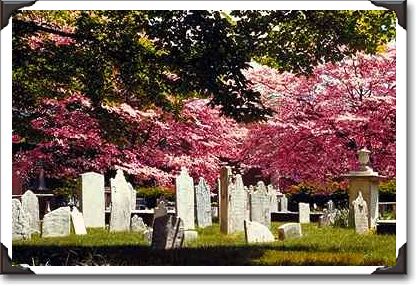 18th century colonial graveyard 18th century colonial graveyard
