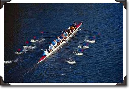 Scullers in training Scullers in training