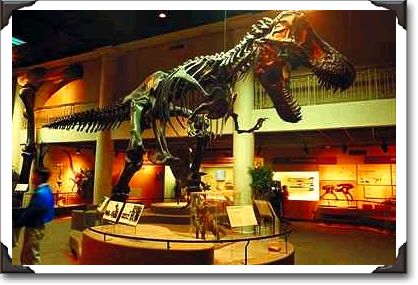 Tyrannosaurus Rex, Academy of Natural Science Tyrannosaurus Rex, Academy of Natural Science