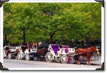 Horse-powered vehicles, Independence Mall Horse-powered vehicles, Independence Mall