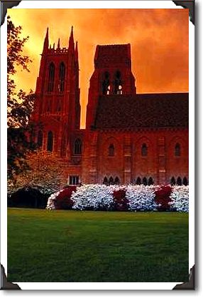 Gothic and Romanesque style cathedral Gothic and Romanesque style cathedral