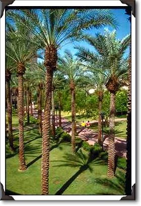 The Arizona Center, Phoenix, Arizona The Arizona Center, Phoenix, Arizona