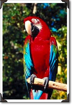 Favorite Florida attraction, Dade County Favorite Florida attraction, Dade County