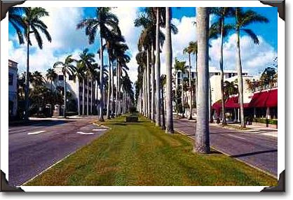 Royal Palm Way Royal Palm Way