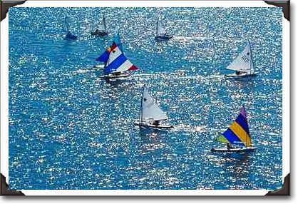 Miami's annual regatta Miami's annual regatta